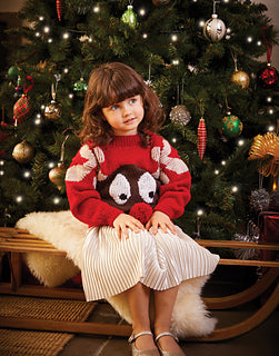 Best Ever Christmas Knit and Crochet Book - Sirdar 565