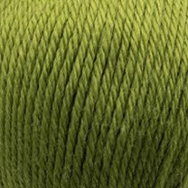 Heirloom Merino Magic 10 ply Guava