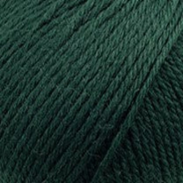 Heirloom Merino Magic 10 ply Wintergreen