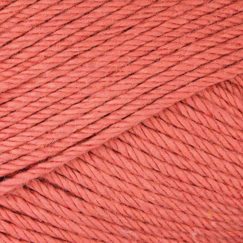 Coral 016