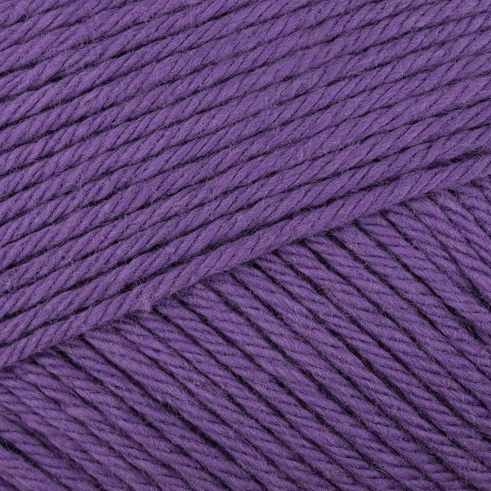 Plum 031