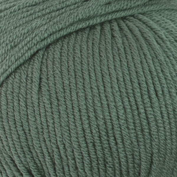 Extra Fine Merino 8 ply Bay Leaf - 2127