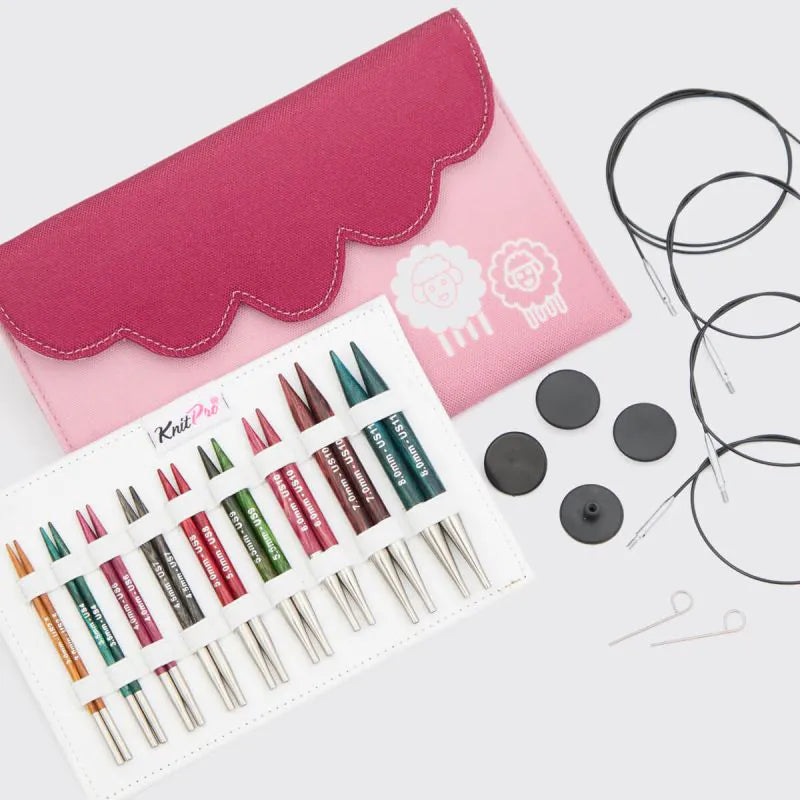 Dreamz Special Interchangeable Needle Deluxe Set (10cm) - KnitPro