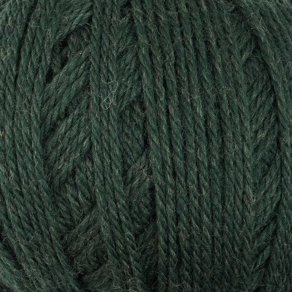Country 8 ply Native Green Mix - 2394